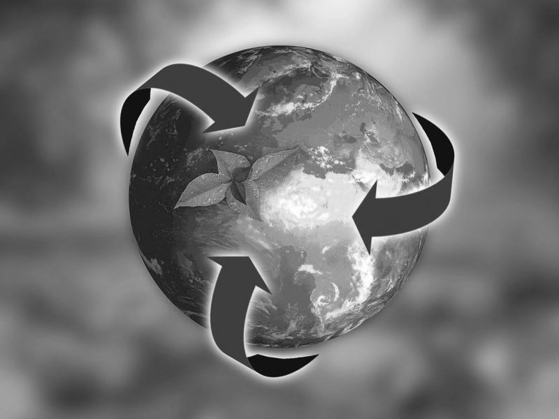 nature-3294632_1280